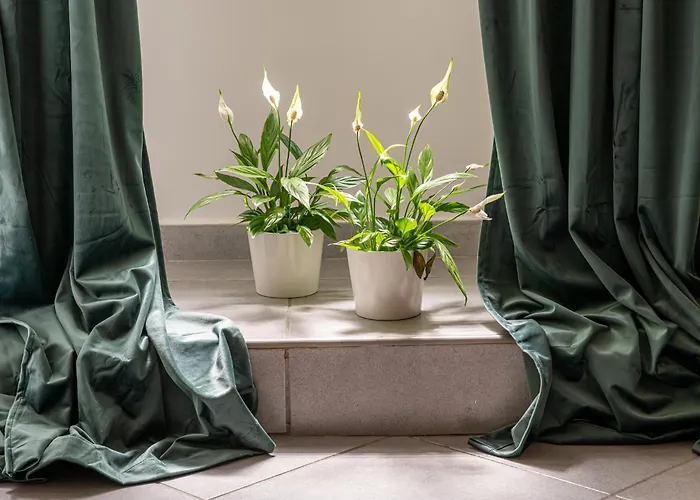 Appartement Belle Arti